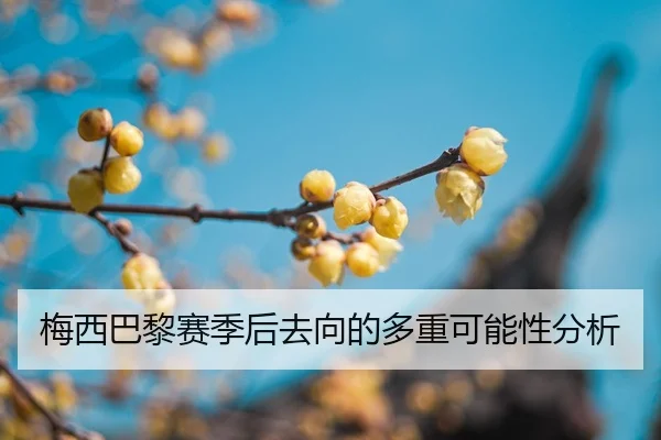 mei-xi-ba-li-sai-ji-hou-qu-xiang-de-duo-zhong-ke-neng-xing-fen-xi-2-689.jpg