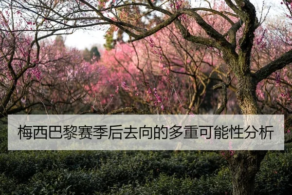 梅西巴黎赛季后去向的多重可能性分析